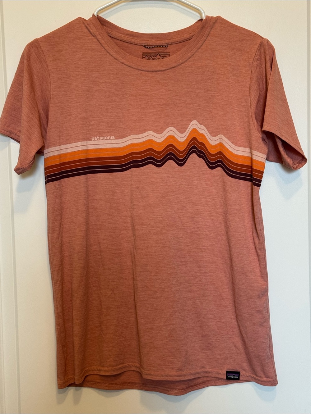Patagonia Women’s Capilene Cool Daily Graphic Short Sleeve Size S